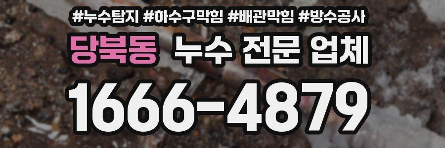 당북동 누수 전문 업체