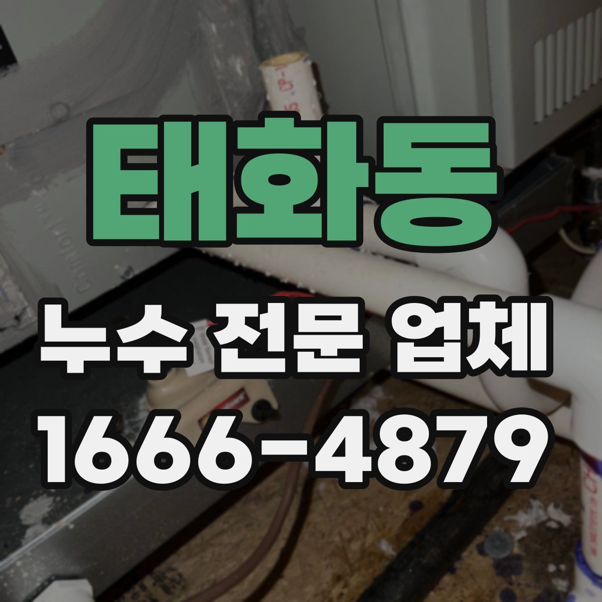 태화동 누수 전문 업체