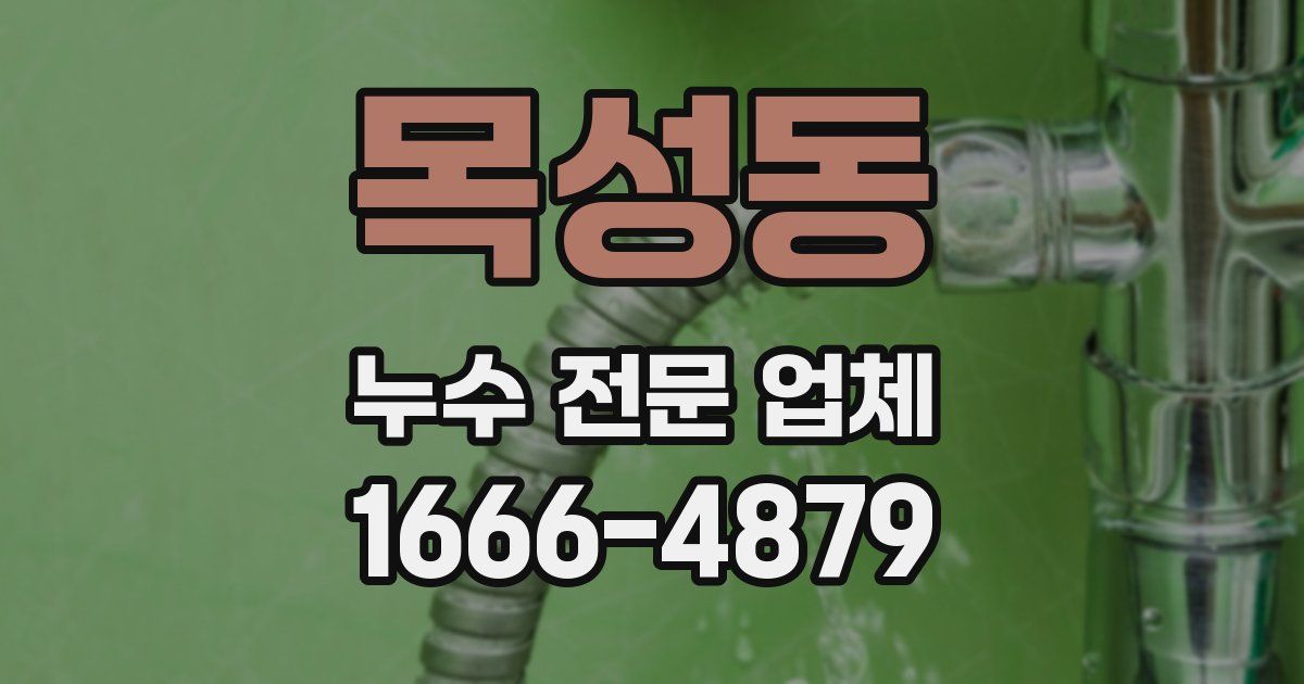 목성동 누수 전문 업체