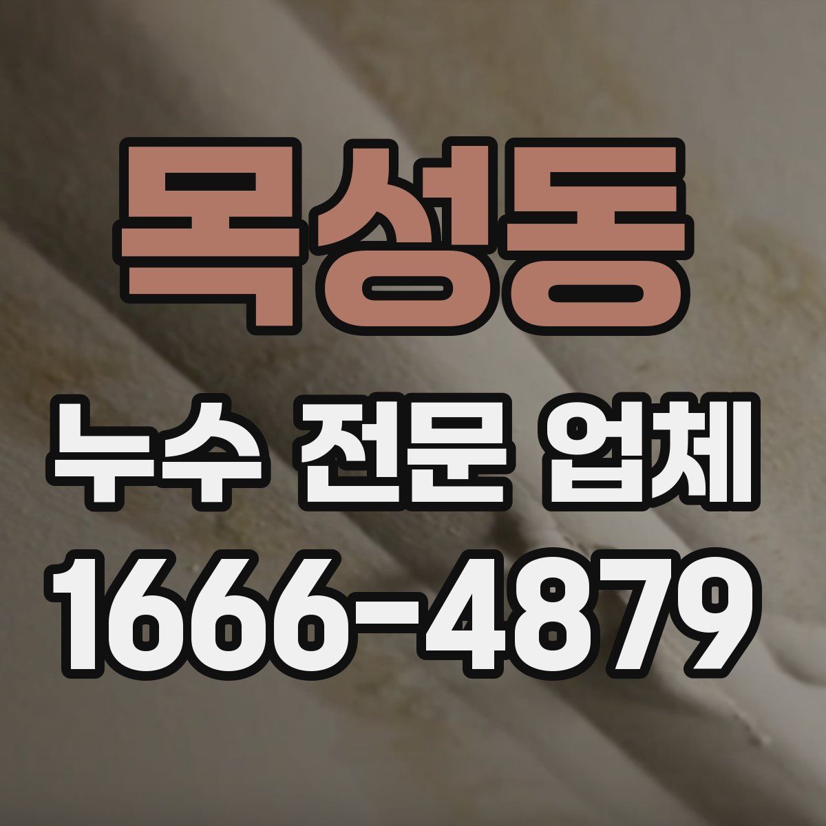 목성동 누수 전문 업체