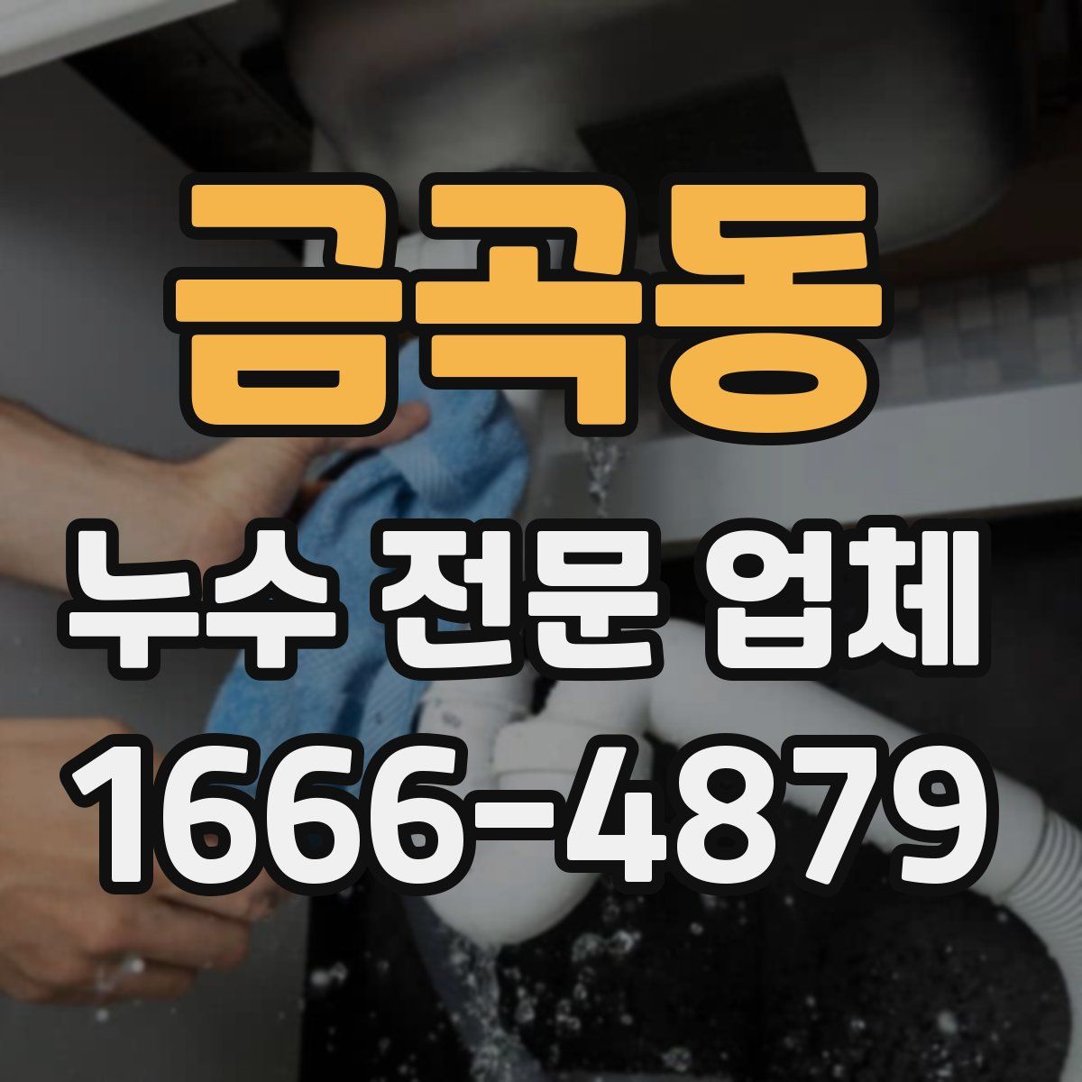 금곡동 누수 전문 업체