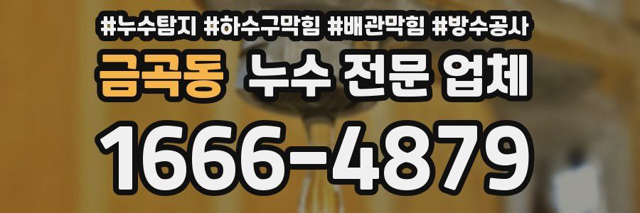 금곡동 누수 전문 업체