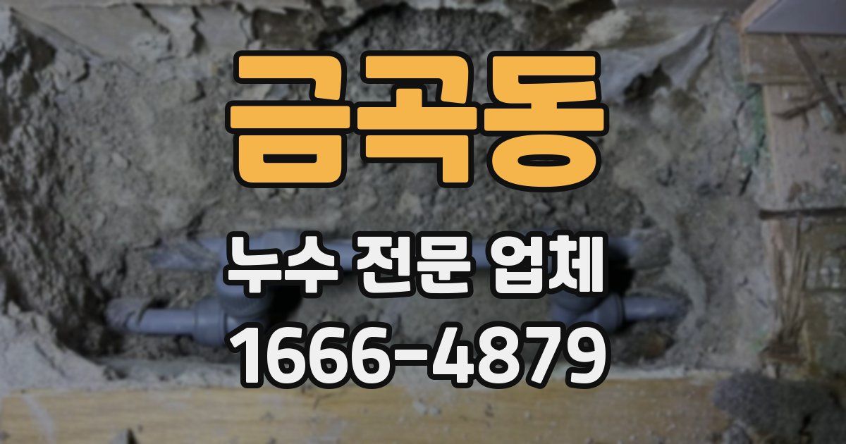 금곡동 누수 전문 업체