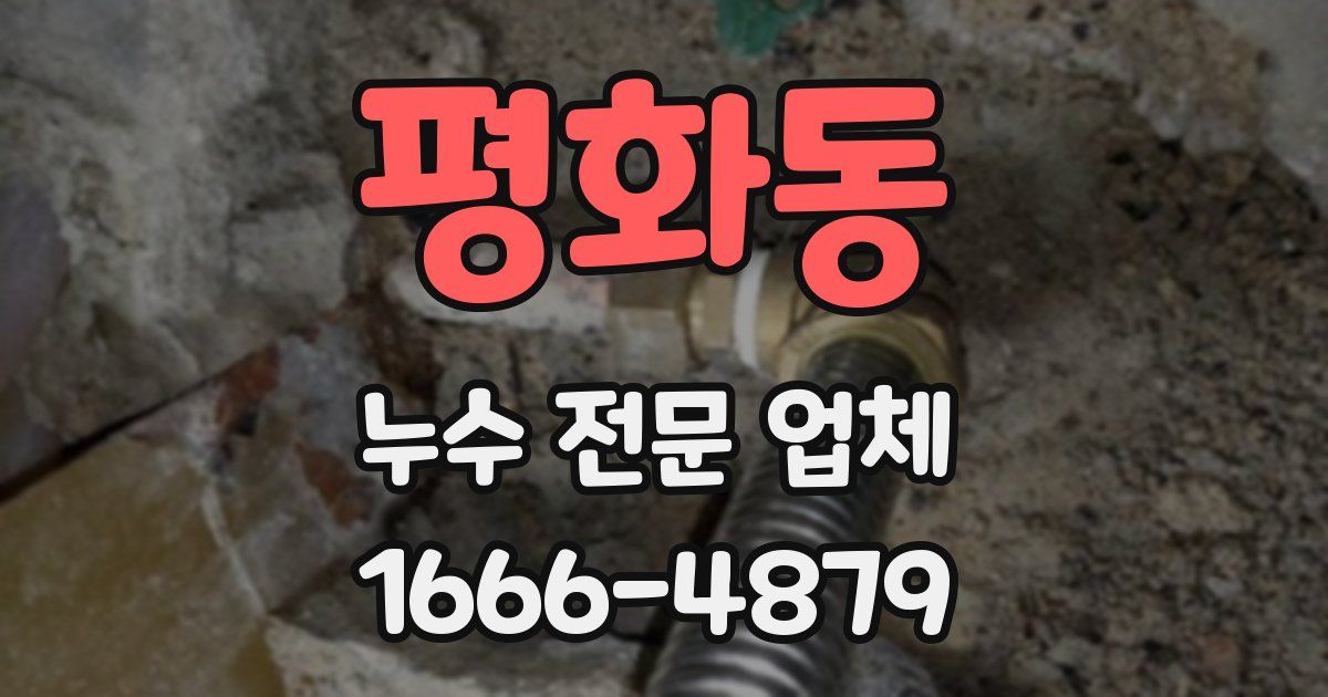 평화동 누수 전문 업체