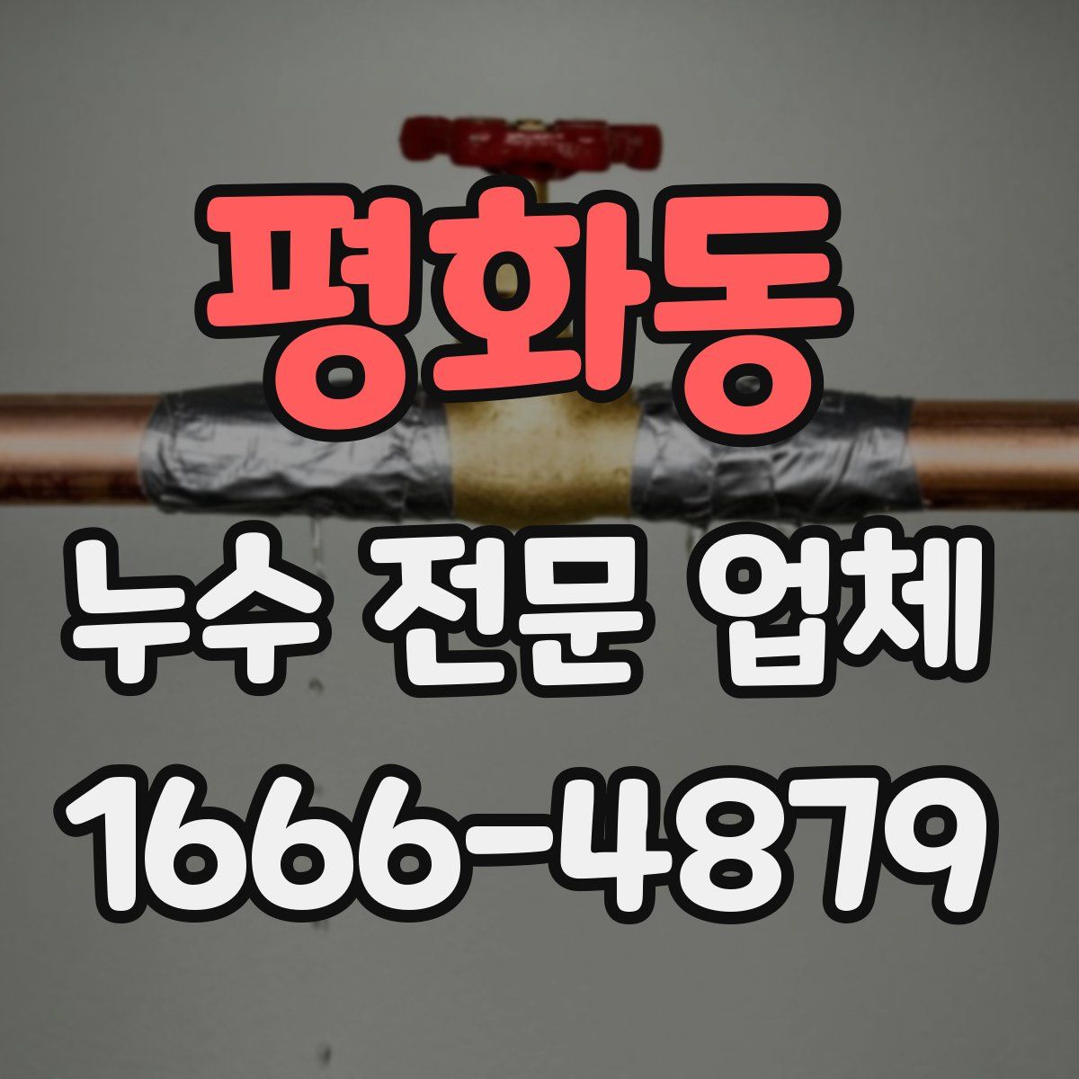 평화동 누수 전문 업체