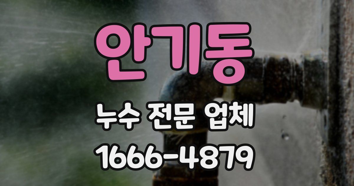 안기동 누수 전문 업체
