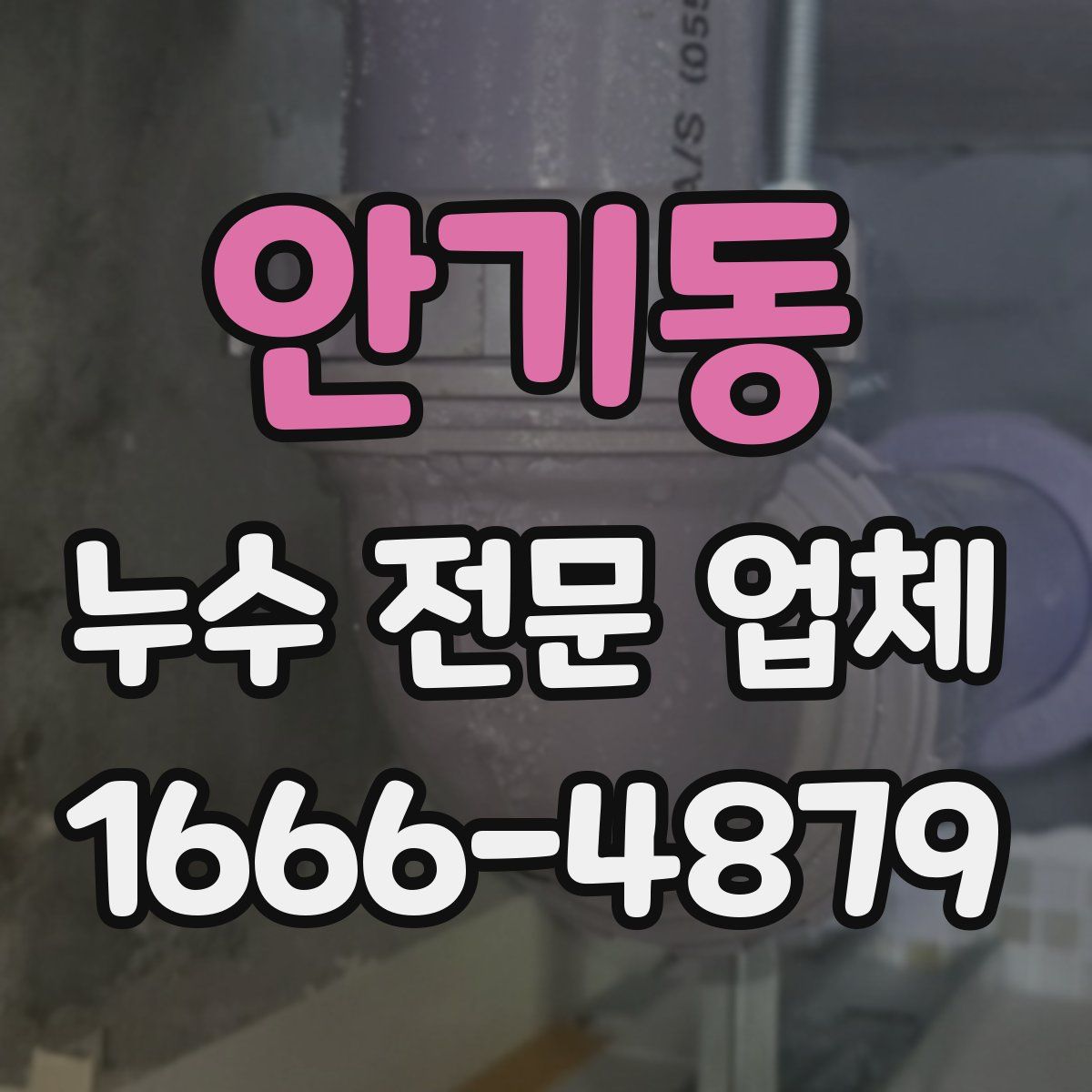 안기동 누수 전문 업체