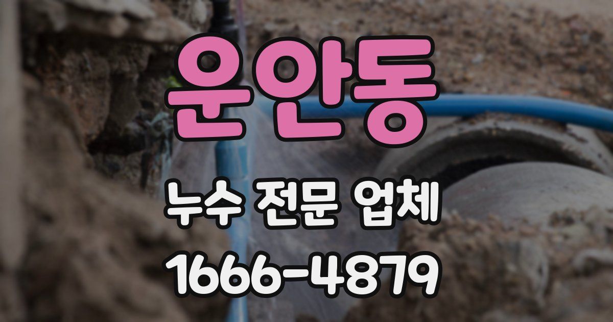 운안동 누수 전문 업체
