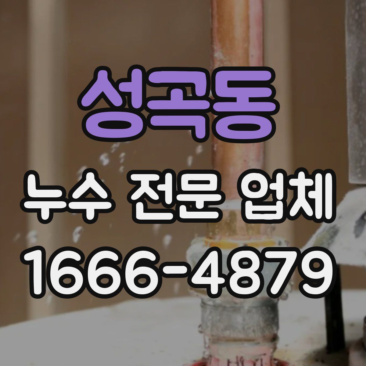 성곡동 누수 전문 업체