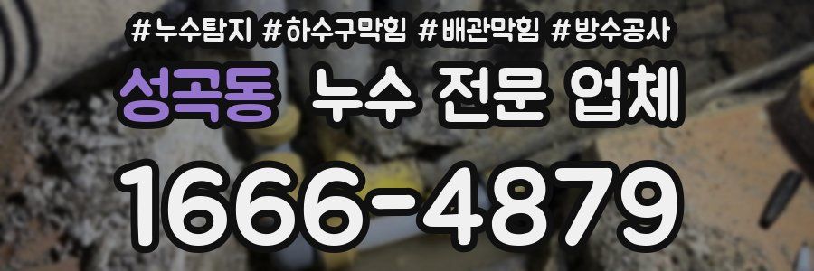 성곡동 누수 전문 업체
