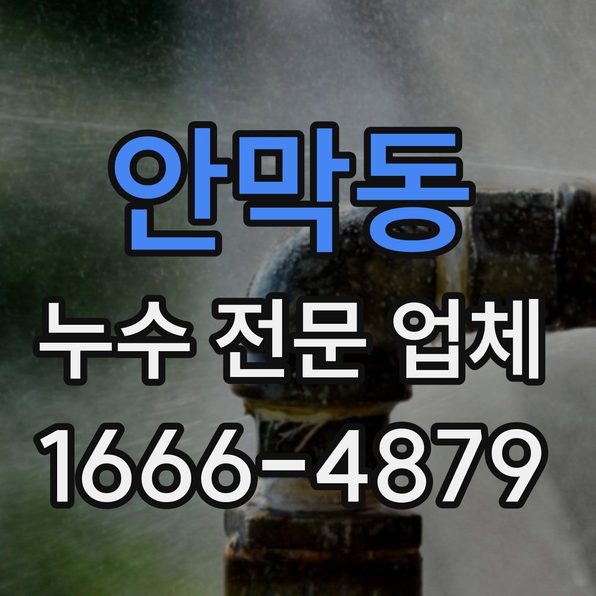 안막동 누수 전문 업체
