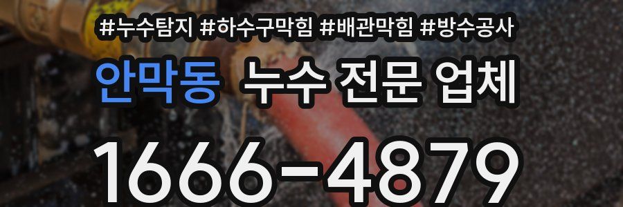 안막동 누수 전문 업체