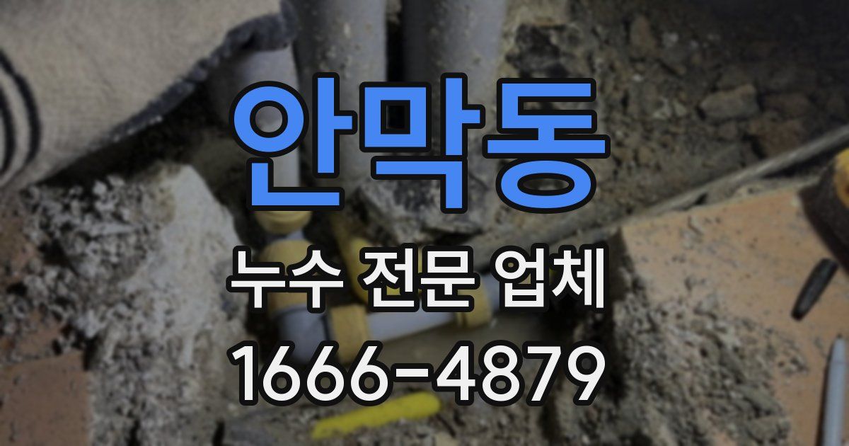 안막동 누수 전문 업체