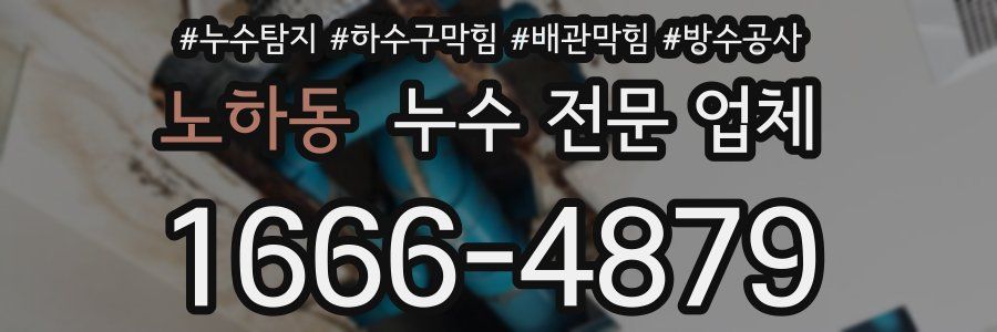 노하동 누수 전문 업체