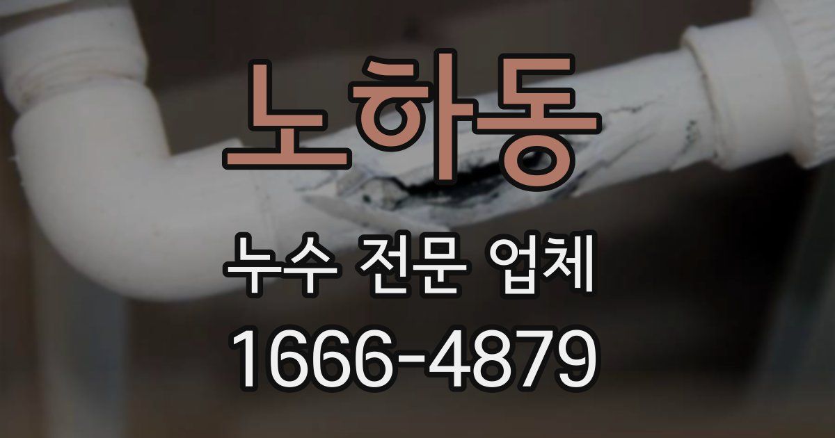 노하동 누수 전문 업체