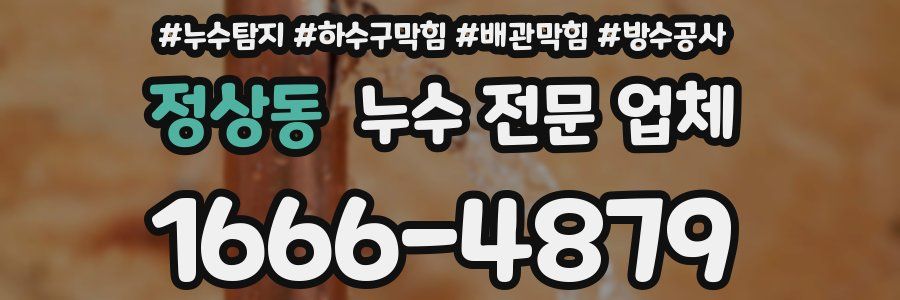 정상동 누수 전문 업체