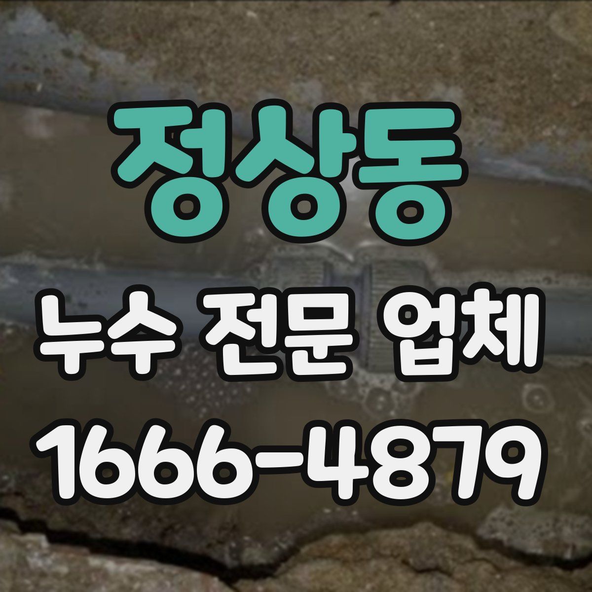 정상동 누수 전문 업체