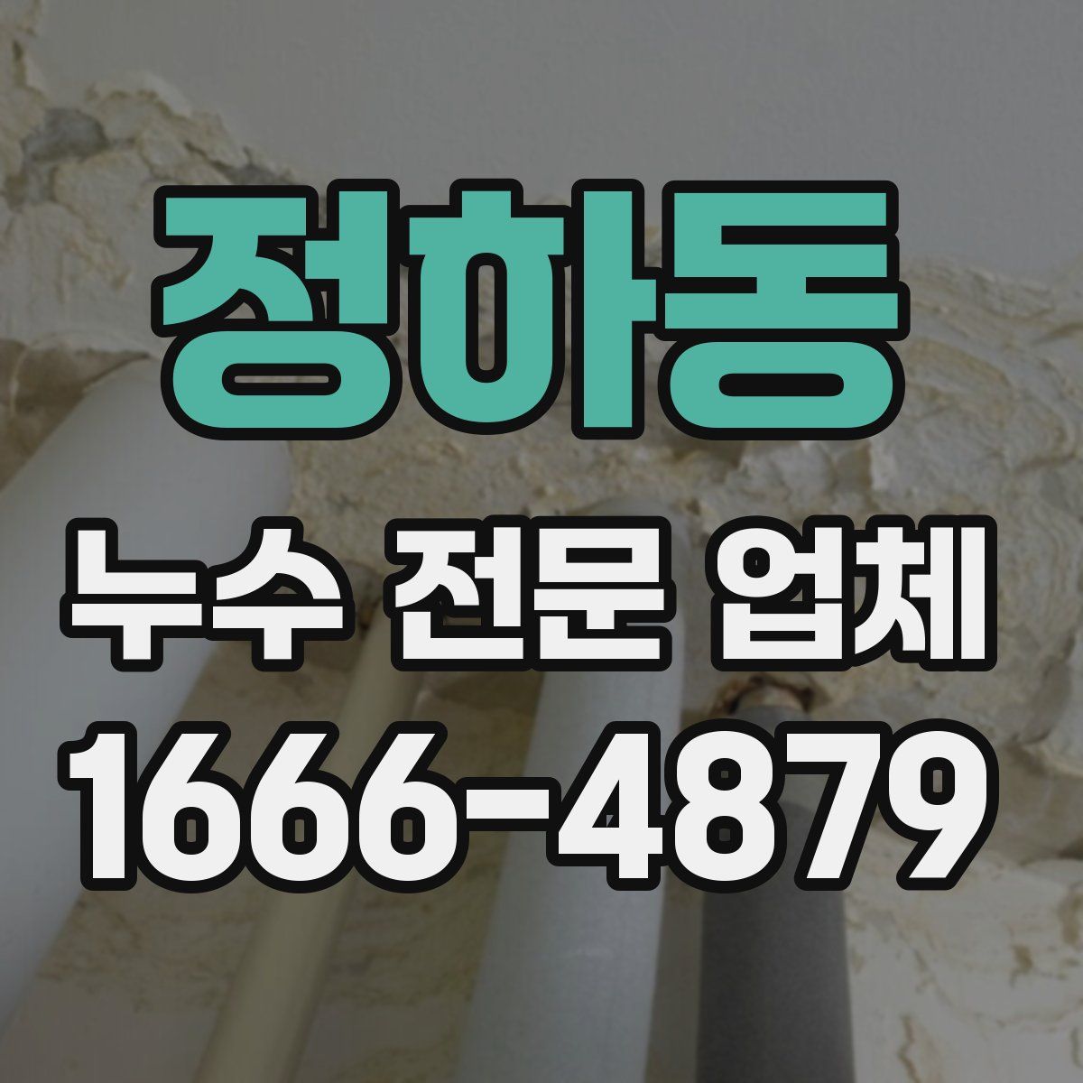 정하동 누수 전문 업체