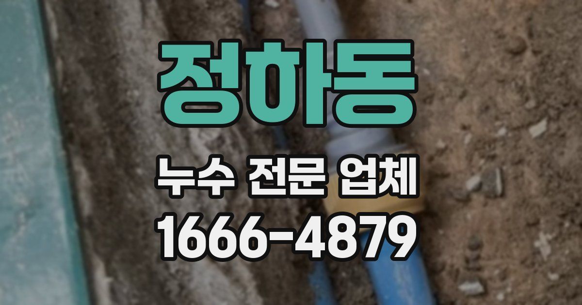 정하동 누수 전문 업체