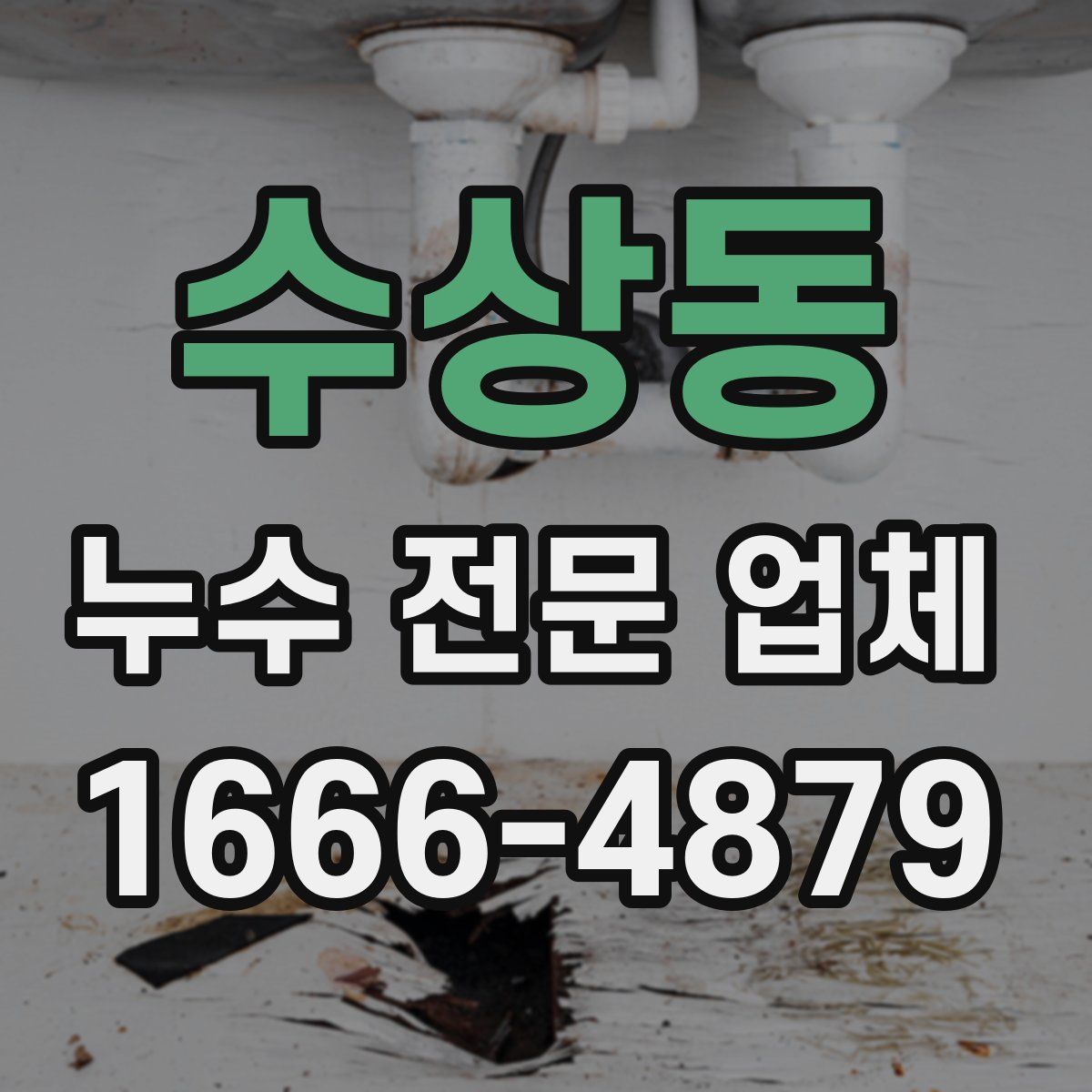 수상동 누수 전문 업체