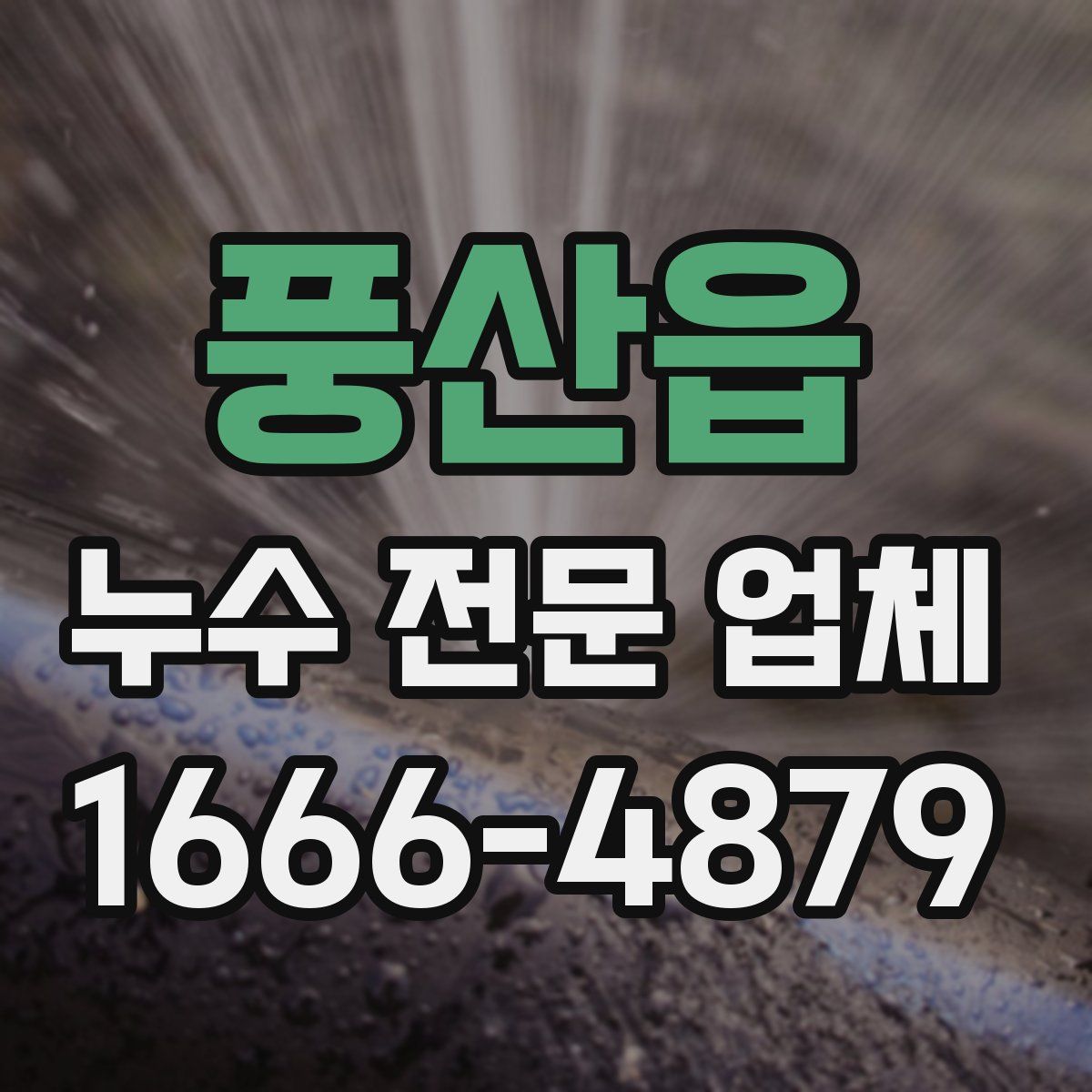 풍산읍 누수 전문 업체