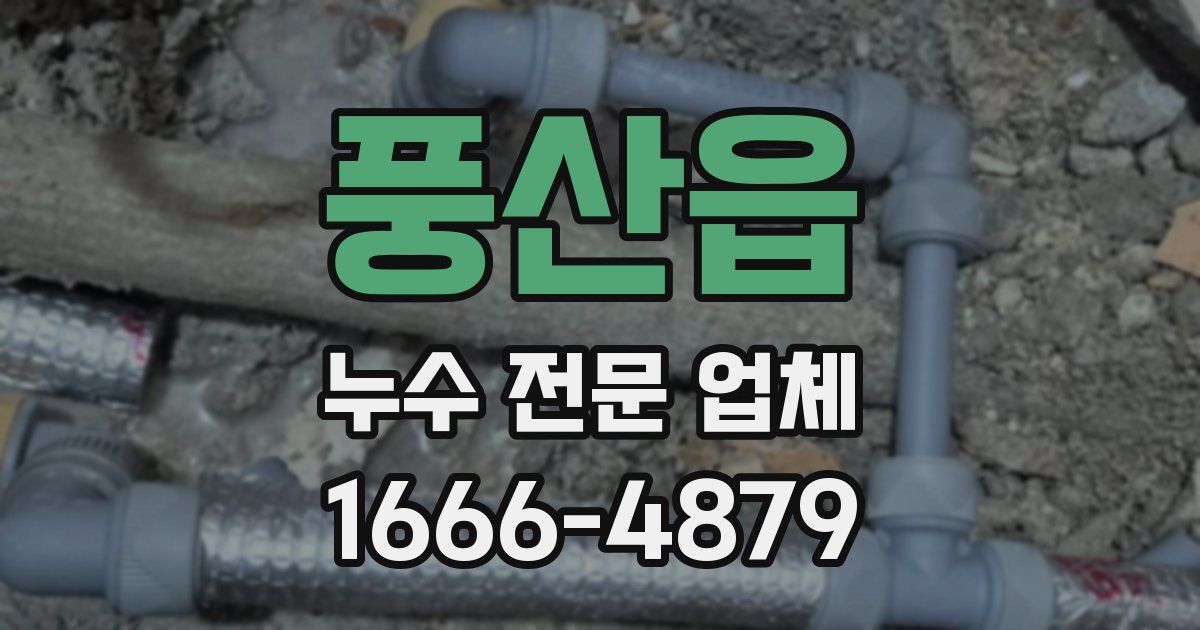 풍산읍 누수 전문 업체