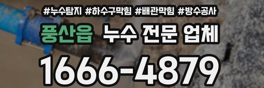 풍산읍 누수 전문 업체