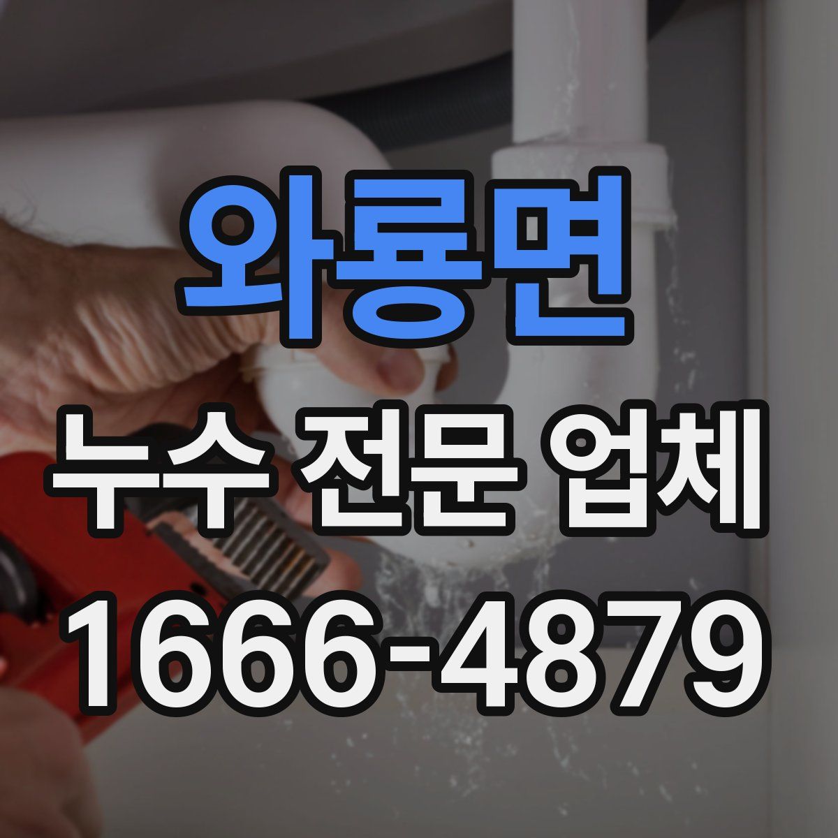 와룡면 누수 전문 업체