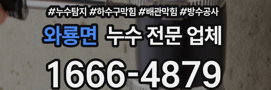 와룡면 누수 전문 업체