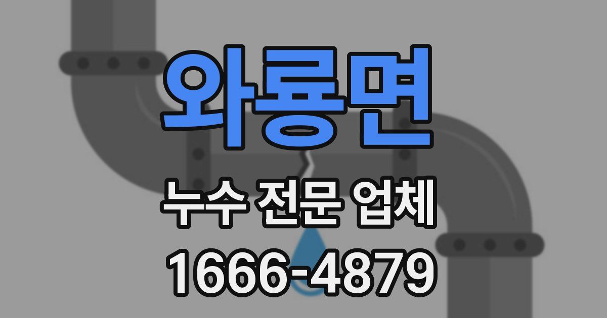 와룡면 누수 전문 업체