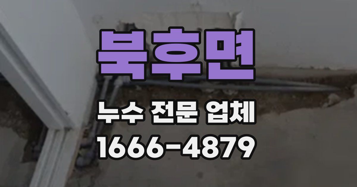 북후면 누수 전문 업체