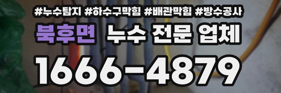 북후면 누수 전문 업체