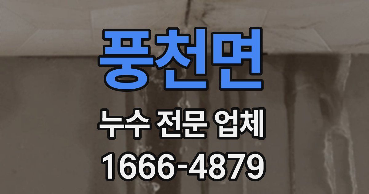 풍천면 누수 전문 업체