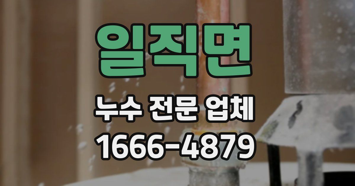 일직면 누수 전문 업체