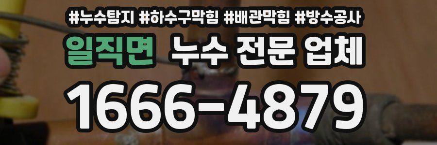 일직면 누수 전문 업체