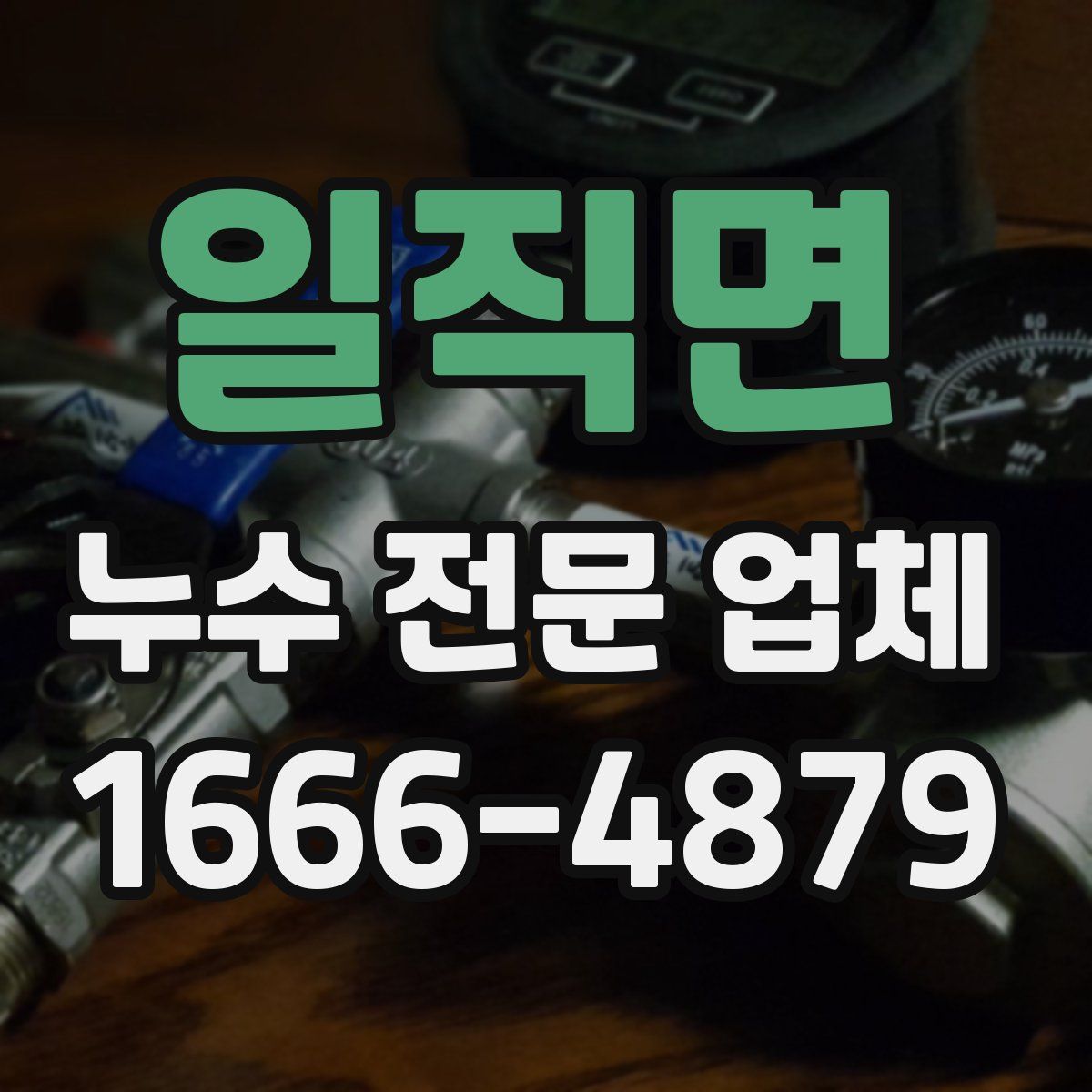 일직면 누수 전문 업체