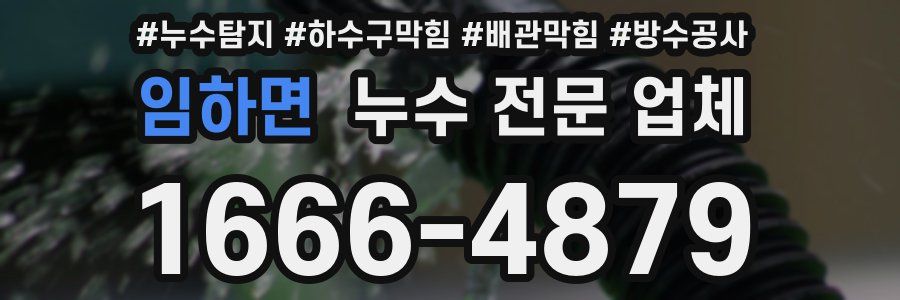 임하면 누수 전문 업체