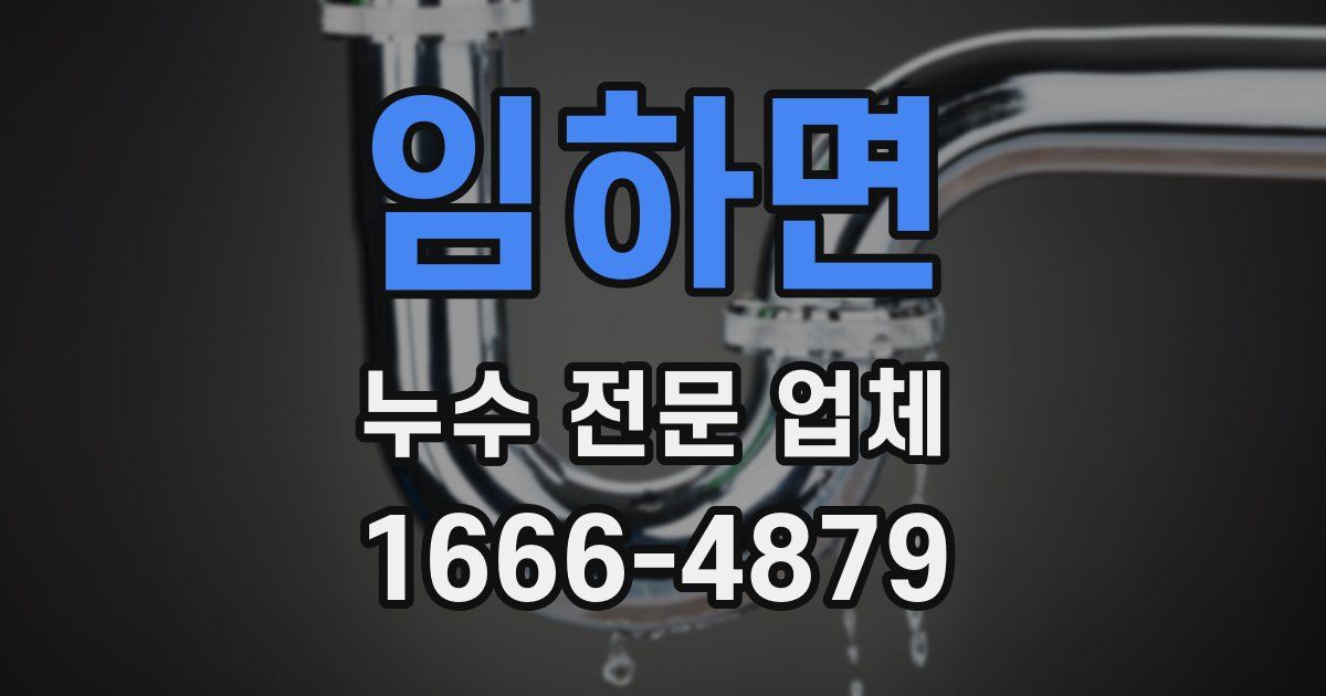 임하면 누수 전문 업체