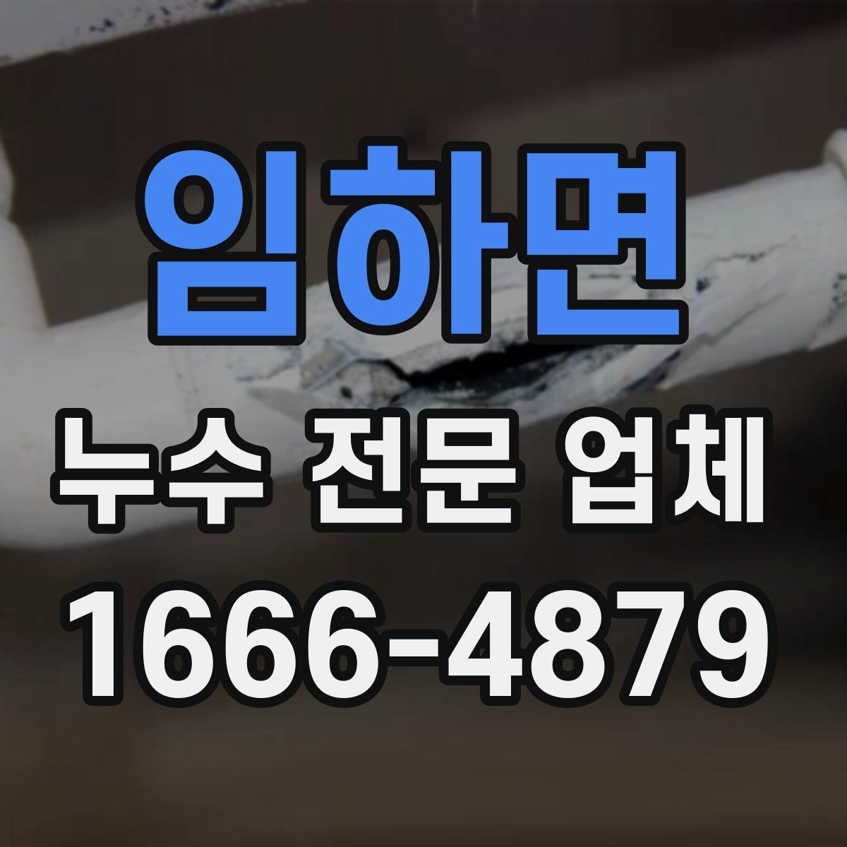 임하면 누수 전문 업체