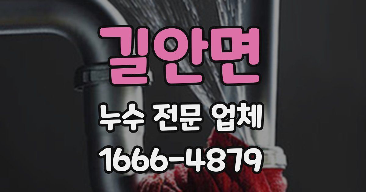 길안면 누수 전문 업체