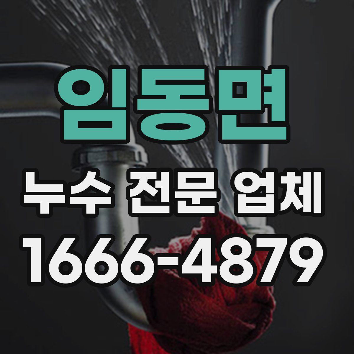 임동면 누수 전문 업체