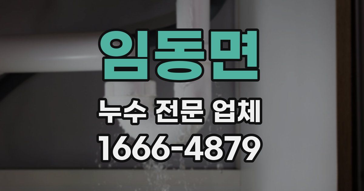 임동면 누수 전문 업체
