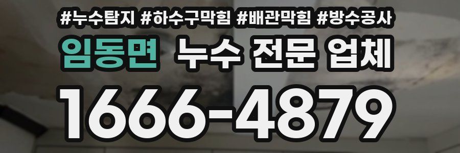 임동면 누수 전문 업체
