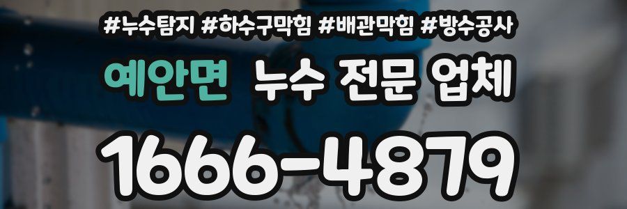 예안면 누수 전문 업체