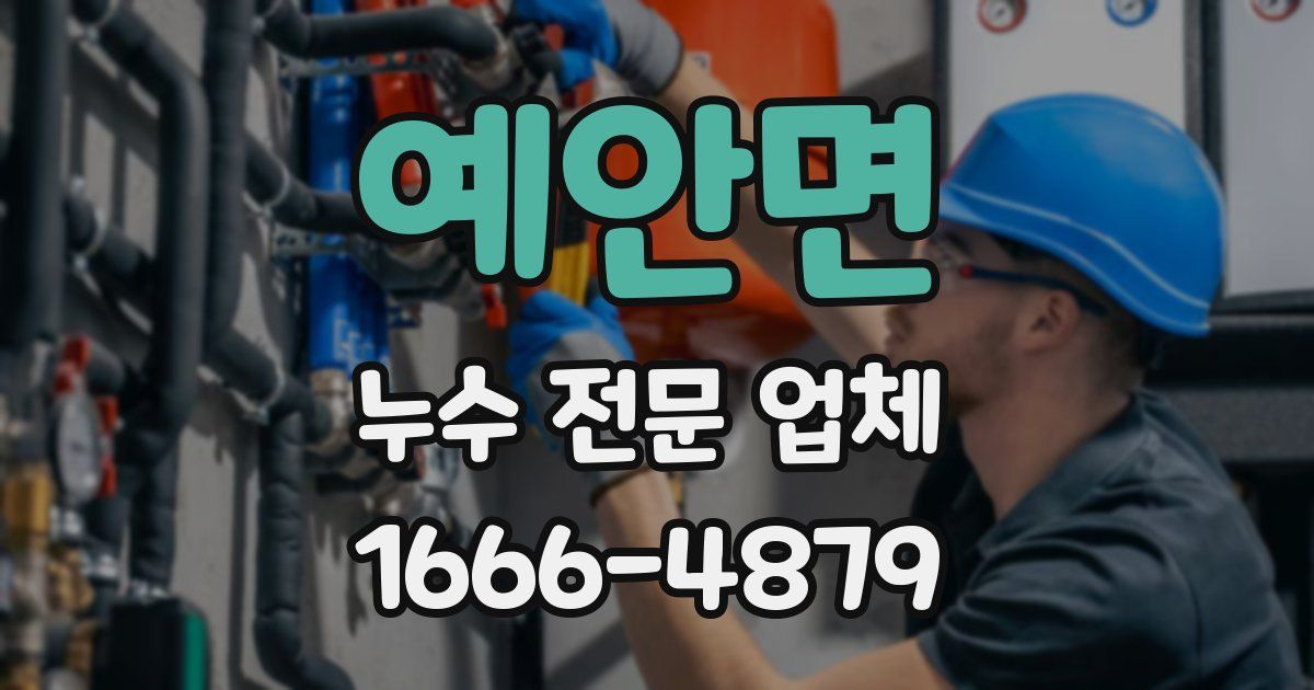 예안면 누수 전문 업체