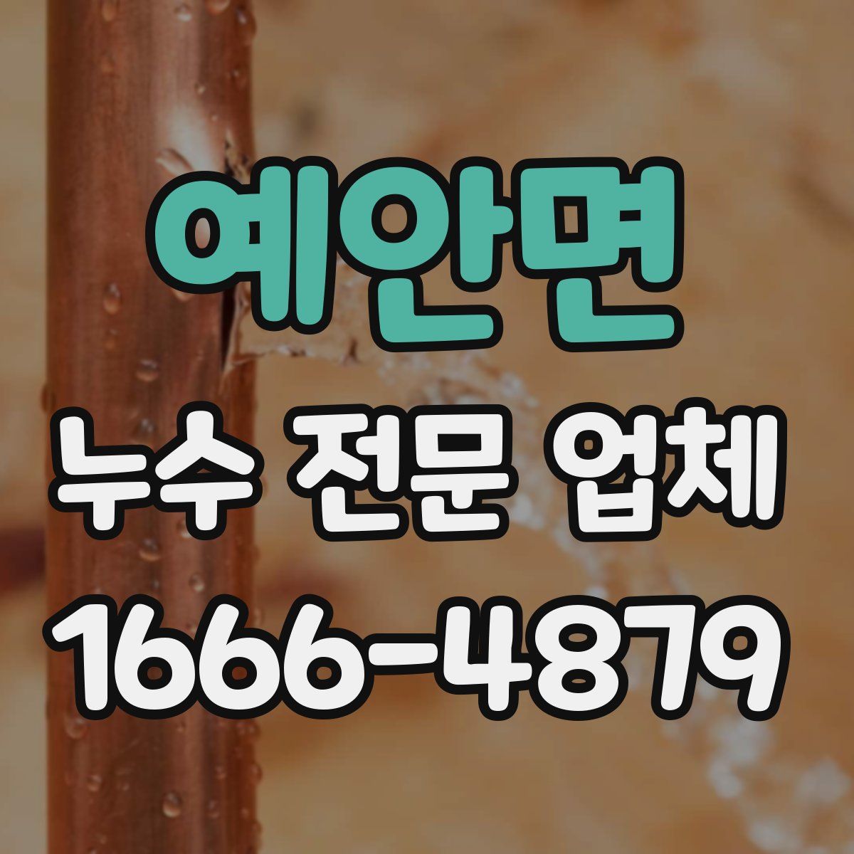 예안면 누수 전문 업체