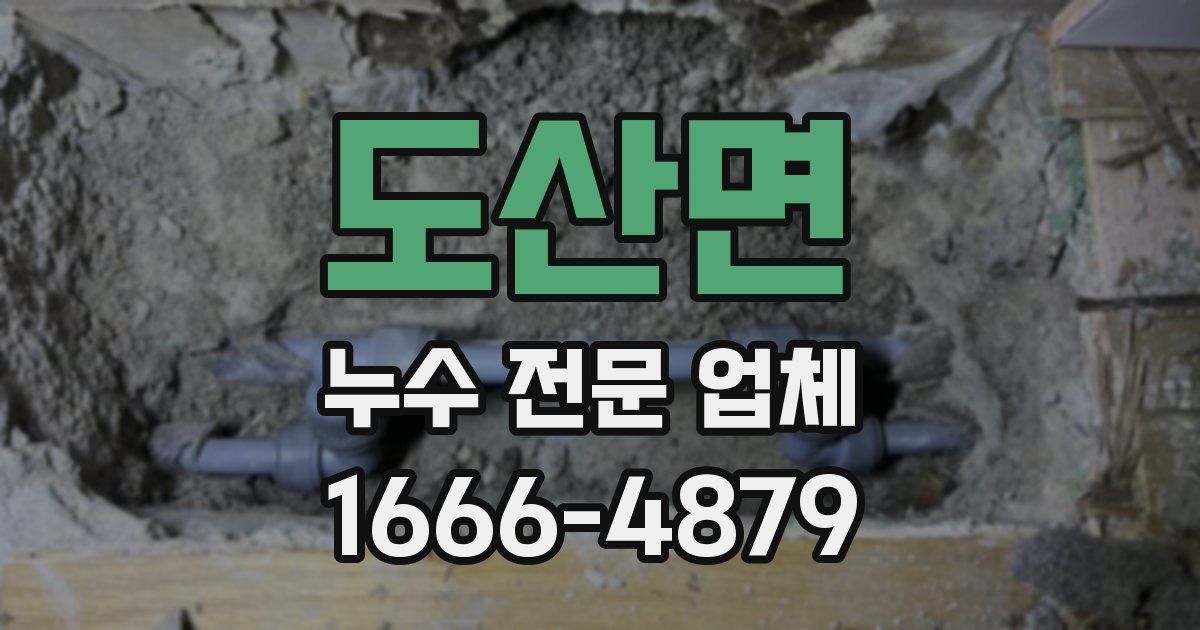 도산면 누수 전문 업체