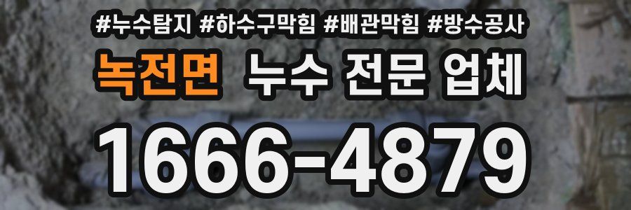녹전면 누수 전문 업체
