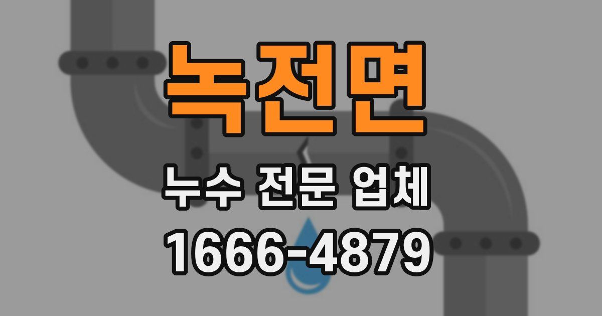 녹전면 누수 전문 업체