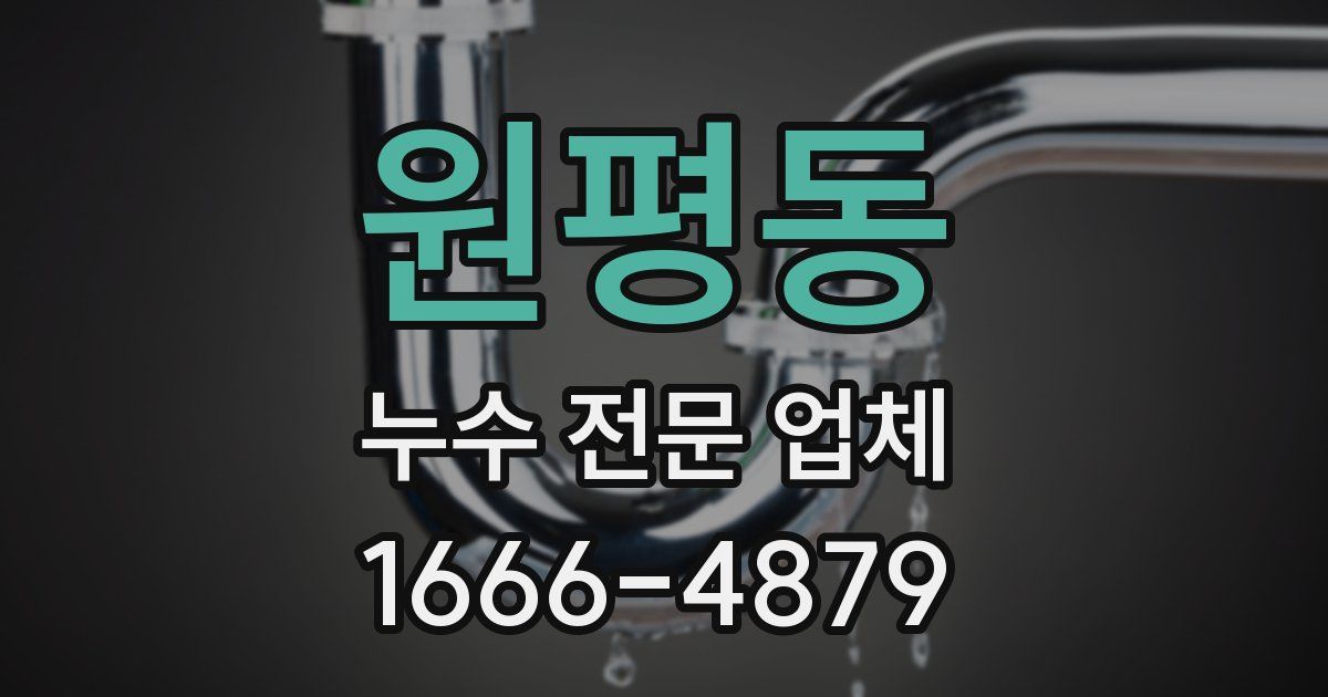원평동 누수 전문 업체